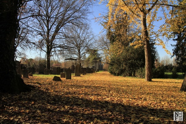 Hebrew Cemetery in Ferrara