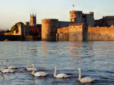 Music and Culture in Limerick: Tour Ireland