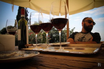 Wine tasting in Valpolicella